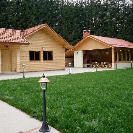 Pensiunea Floarea De Colt Nucşoara Esterno foto