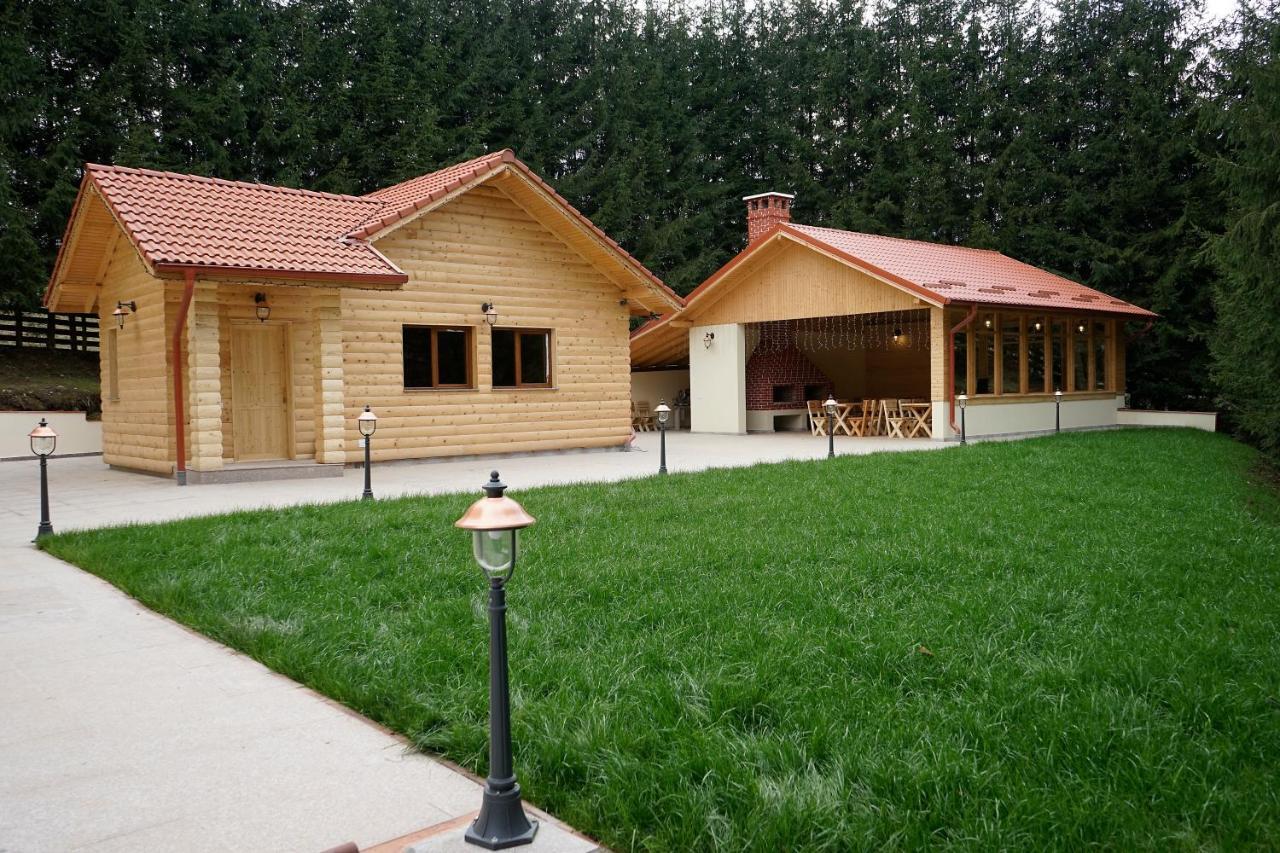 Pensiunea Floarea De Colt Nucşoara Esterno foto
